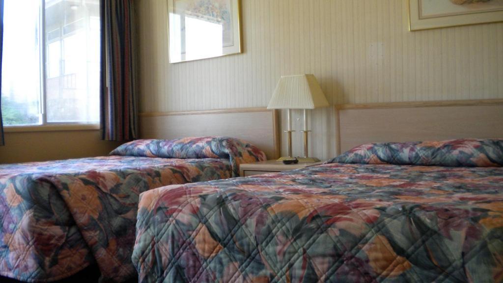 Studio 6 Suites - Albany, Or Room photo